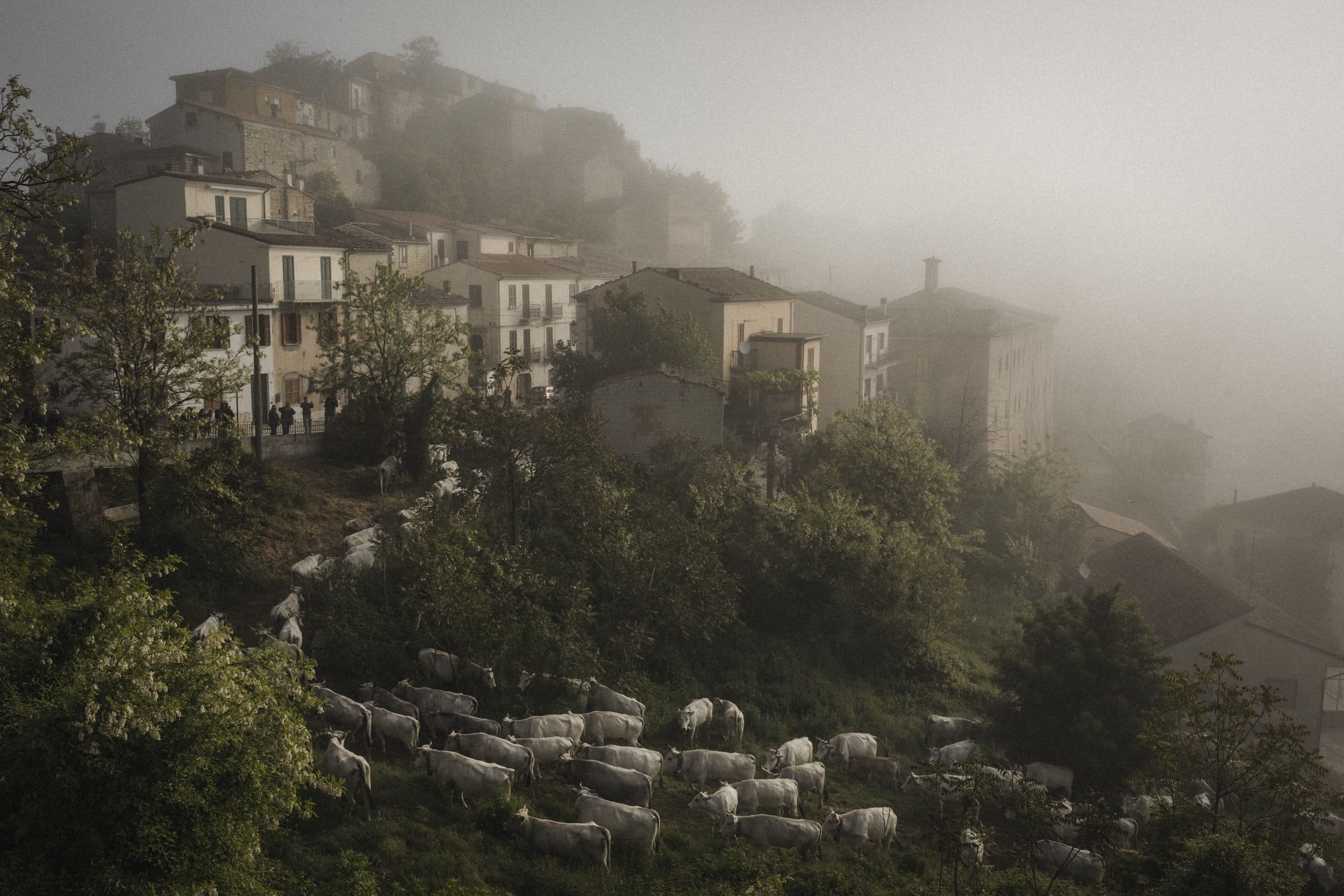 Along the shepherds' highways – Giuseppe Nucci – Crowdbooks
